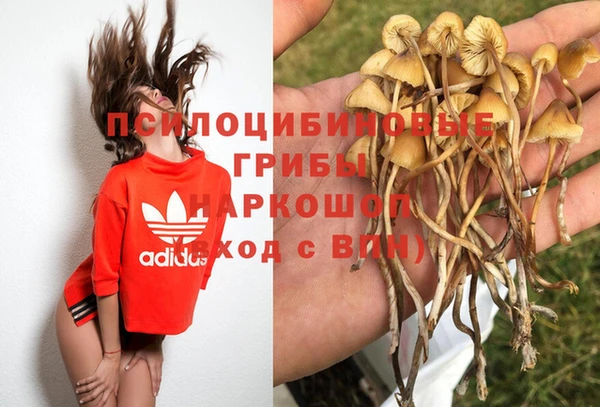 амф Алексеевка