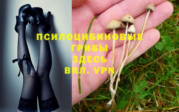 ALPHA-PVP Алзамай