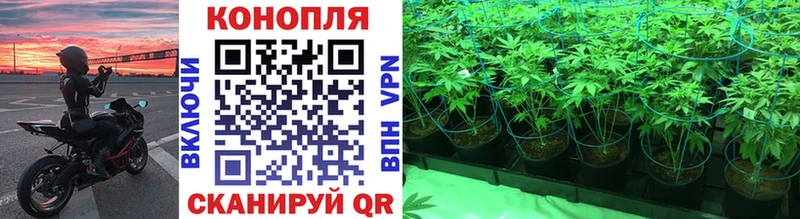 МАРИХУАНА VHQ  Тулун 